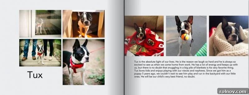 Tux, our beloved pet, featured prominently in our adoption book as a family member.