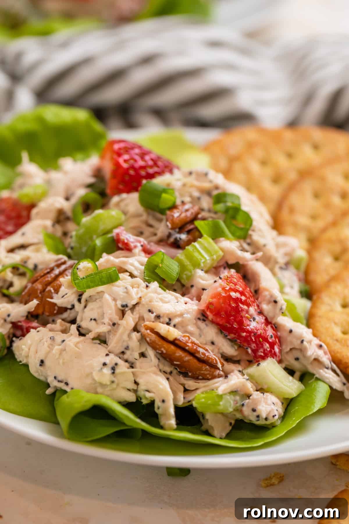 Berry Bliss Chicken Salad with Poppy Seed Pecans 7 A pristine white plate featuring a scoop of Strawberry Pecan Chicken Salad with poppy seeds, elegantly served on a bed of fresh lettuce alongside crispy crackers.