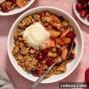 Bowl with cranapple crisp with vanilla ice cream and spoon propped in the bowl.