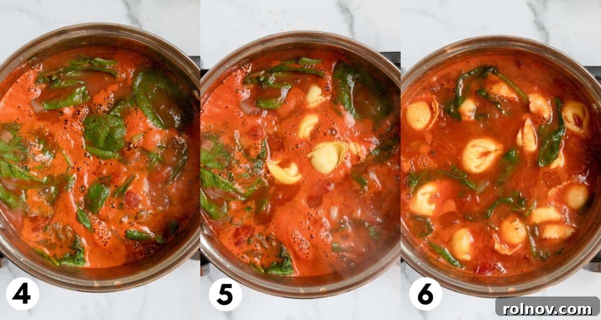 Velvety Tomato Tortellini Soup 5 Boiling soup in pot.