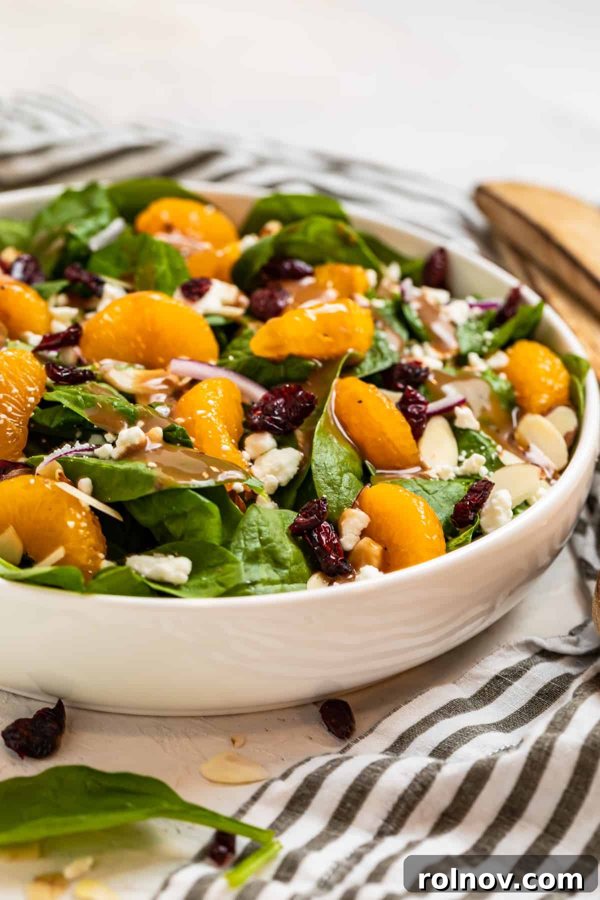 Sunshine Spinach Salad with Honey Balsamic 3 Spinach salad with mandarins, dried cranberries, toasted almonds, thinly sliced red onion and creamy goat cheese in a pristine white bowl, ready to be served.