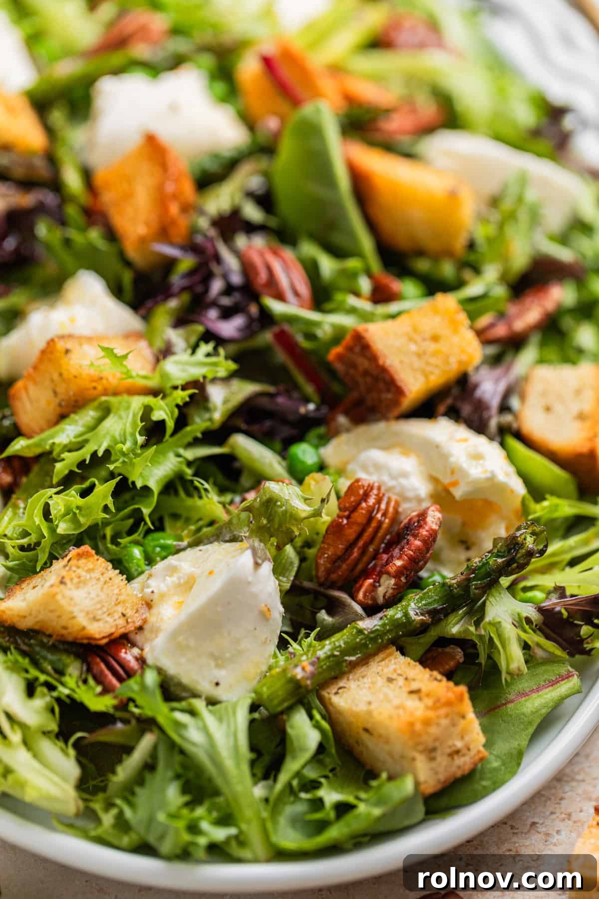 Verdant Burrata Delight 9 A vibrant spring green salad, generously topped with creamy burrata cheese and a glistening honey-citrus dressing, ready to be enjoyed.