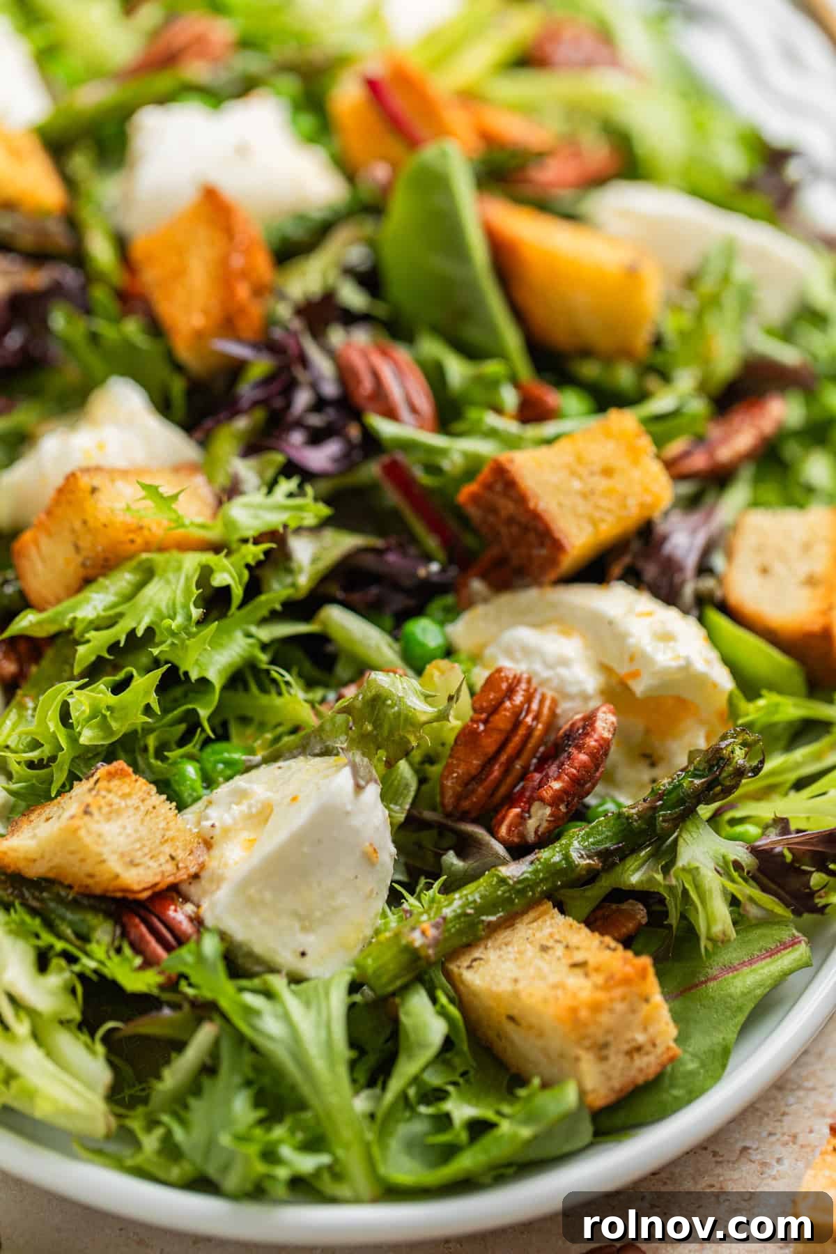 Verdant Burrata Delight 10 A close-up of a beautifully arranged green salad, generously topped with creamy burrata cheese, golden sourdough croutons, fresh peas, and tender asparagus, all glistening with a zesty citrus dressing.