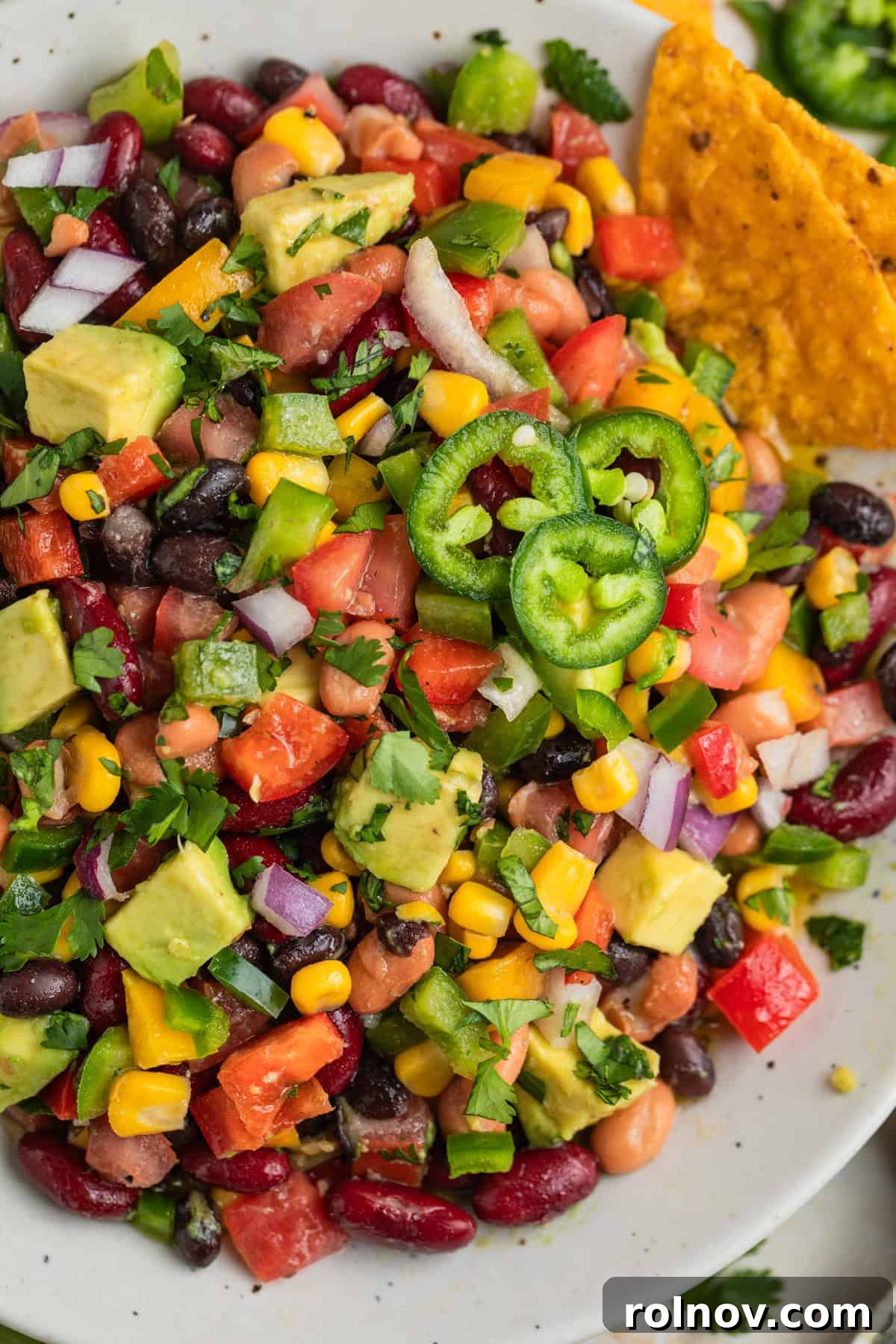 A close-up view of the tri-color bean dip with fresh vegetables, corn, cilantro, and other vibrant ingredients, artfully arranged in a rustic white bowl, showcasing its rich textures and colors.