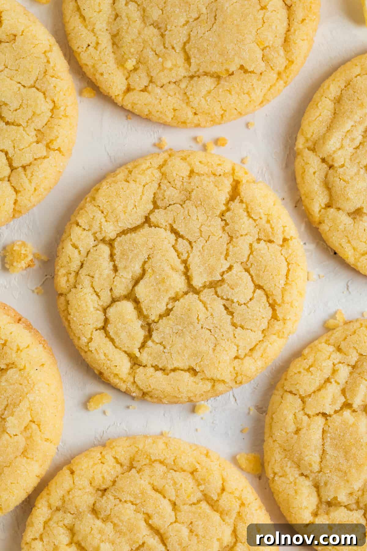Bright Lemon Sugar Cookies 7 Lemon sugar cookies lined up on counter with crumbs.