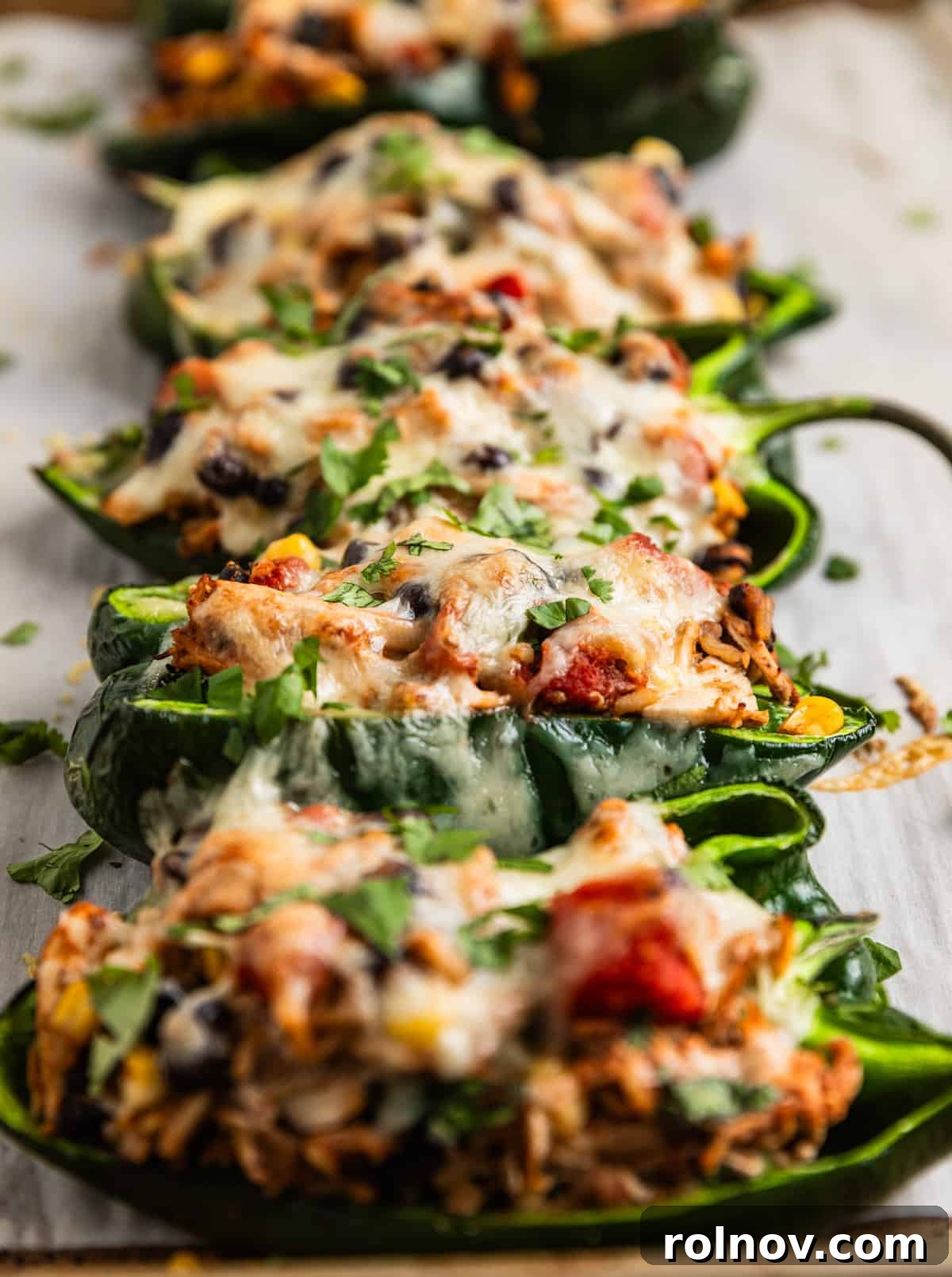 Savory Chicken Poblano Boats 3 Baked chicken stuffed poblano peppers, topped with melted cheese and fresh cilantro, arranged on a baking sheet.