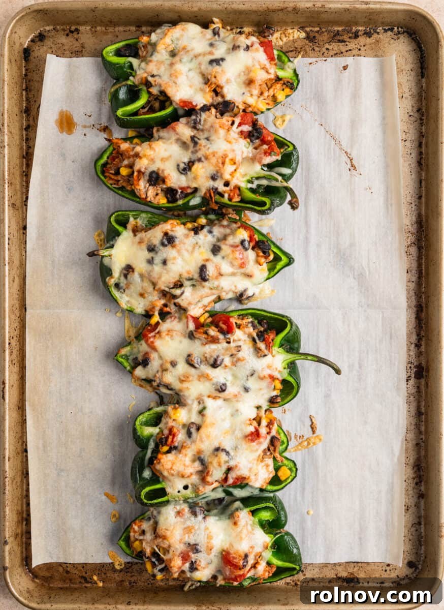 Savory Chicken Poblano Boats 8 Cooked poblano peppers stuffed with a delicious chicken and black bean mixture, baked to perfection.