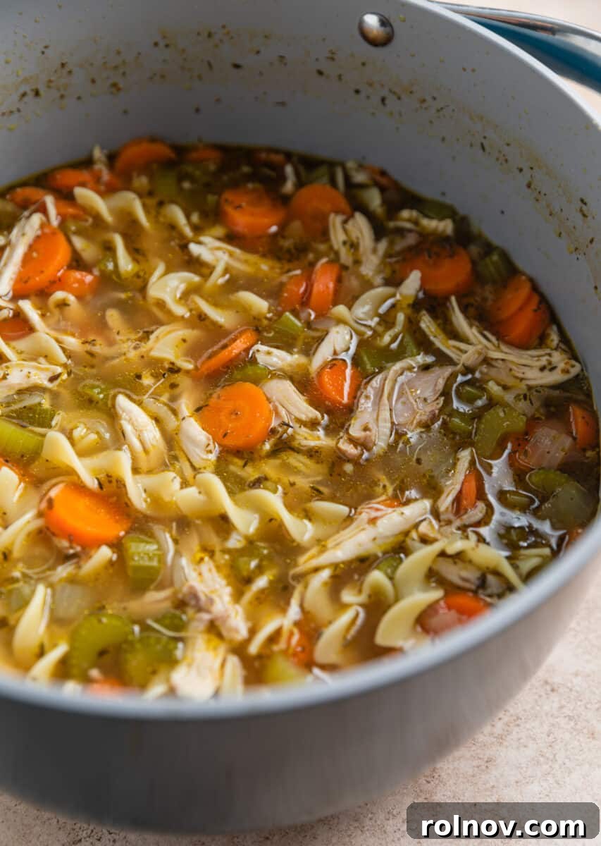 Shortcut Rotisserie Chicken Noodle Soup 9 The finished, hearty chicken noodle soup in a Dutch oven pot, perfectly cooked and ready to be served.
