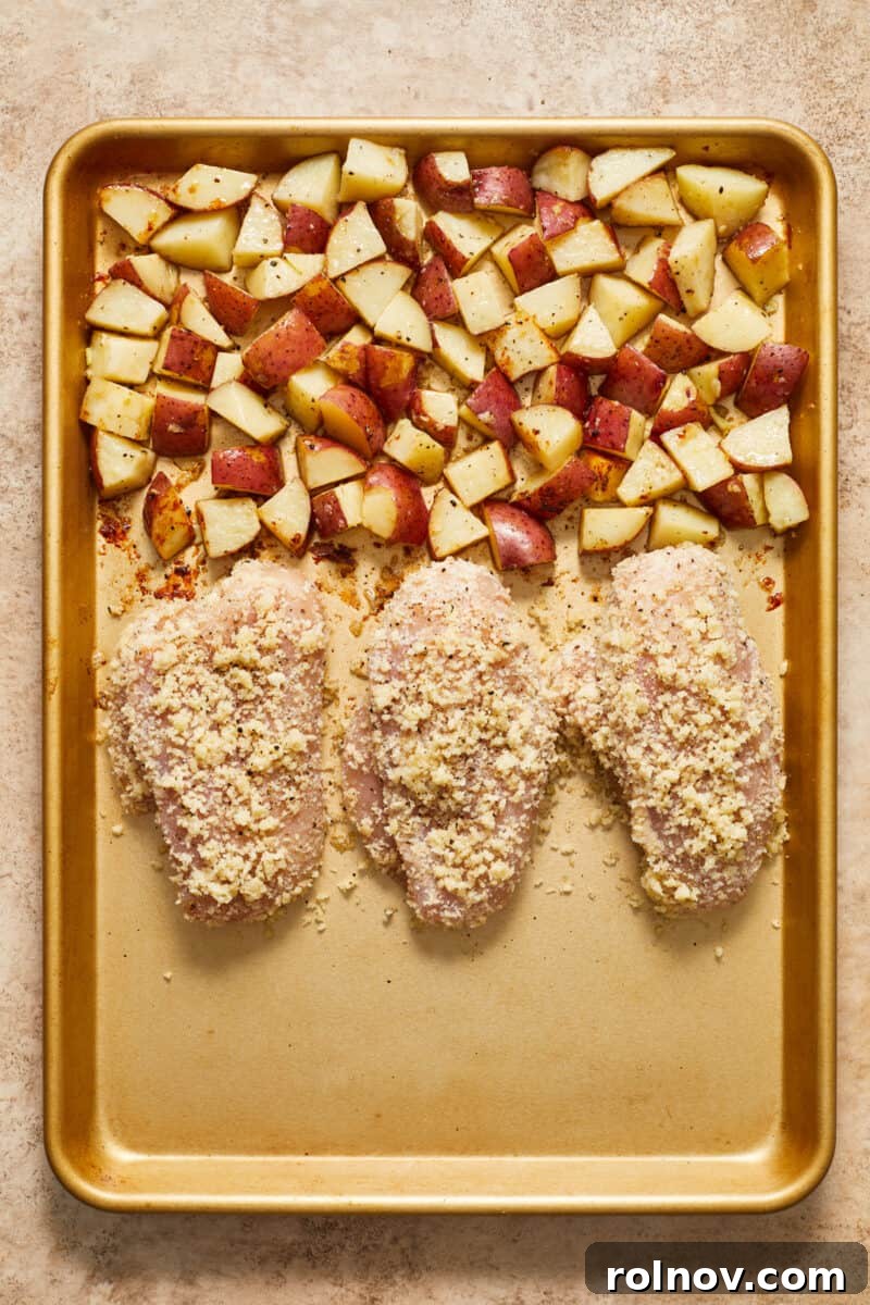 Golden Parmesan Chicken Sheet Pan Feast 8 Chicken added to sheet pan with quartered red potatoes.