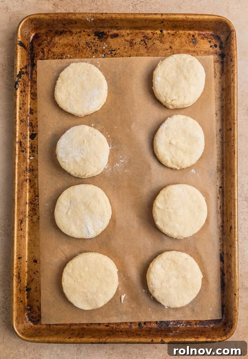 Golden Honey Biscuits 11 Biscuits lined on parchment lined baking sheet.