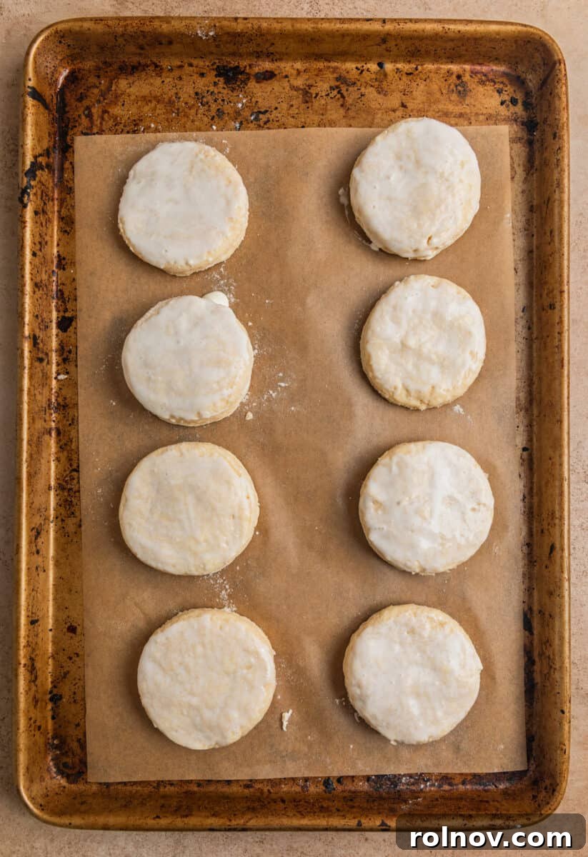 Golden Honey Biscuits 12 Cream brushed on top of biscuits lined on prepared baking sheet.