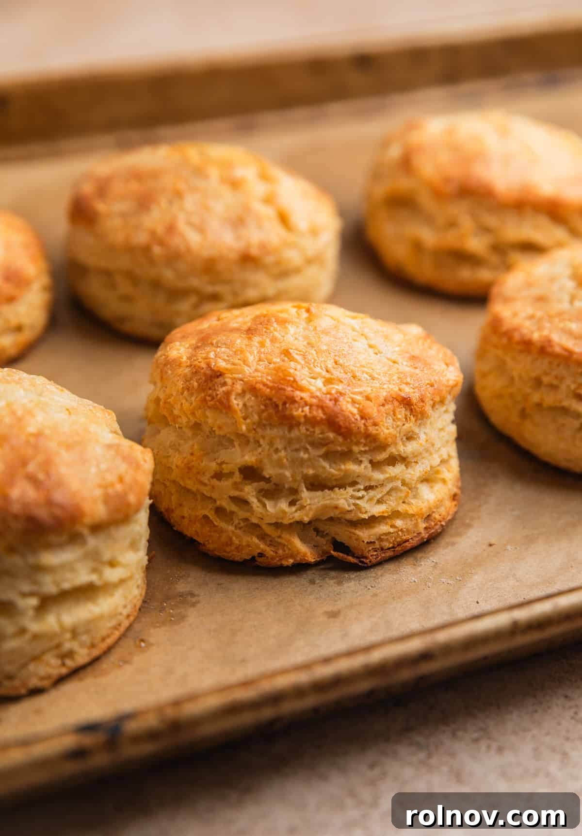 Golden Honey Biscuits 13 Freshly baked biscuits on parchment lined baking sheet.