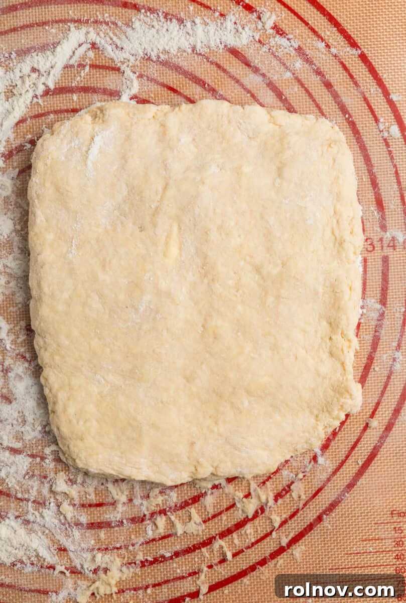 Golden Honey Biscuits 9 Pressed biscuit dough.