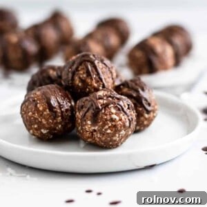Chewy Chocolate Coconut Energy Bites 5 German Chocolate Cake Balls
