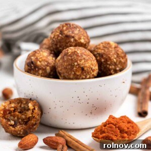 Pumpkin Spice Power Bites 5 Pumpkin energy bites in a bowl with a single energy bite placed beside it, along with a spoon of pumpkin puree, highlighting the key ingredient.