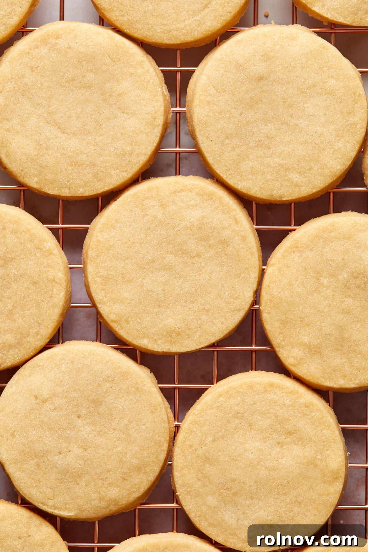 Buttery Holiday Shortbread Delights 11 Baked shortbread cookies on cooling rack.