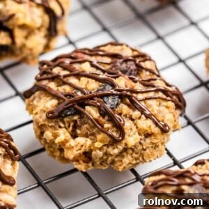 Wholesome breakfast cookies, featuring peanut butter and banana, arranged on a cooling rack with an inviting chocolate drizzle.