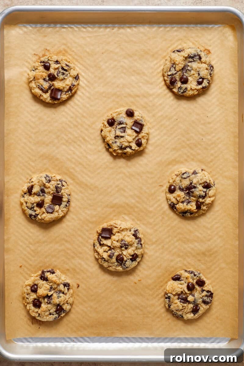 Almond & Oat Harmony Gluten-Free Chip Cookies 10 Freshly baked almond flour oatmeal cookies on a cookie sheet, golden brown at the edges and perfectly puffed.