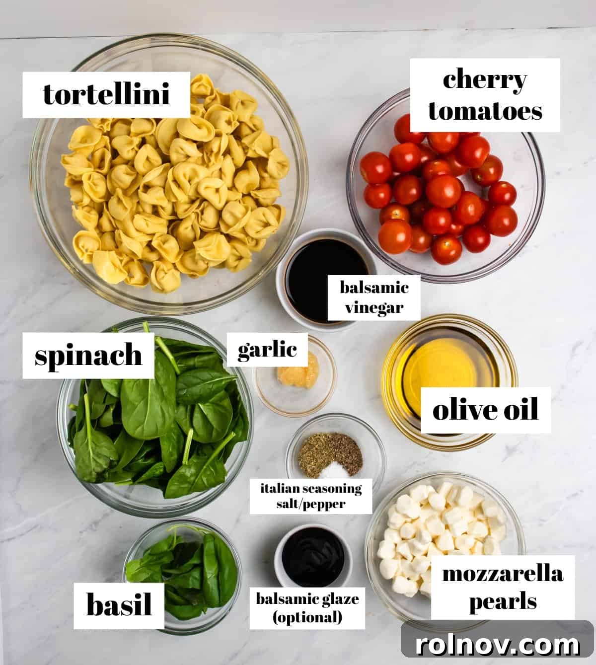 All ingredients for Tortellini Caprese Salad displayed on a counter: uncooked tortellini, cherry tomatoes, mozzarella pearls, fresh basil, olive oil, balsamic vinegar, garlic, and Italian seasoning.