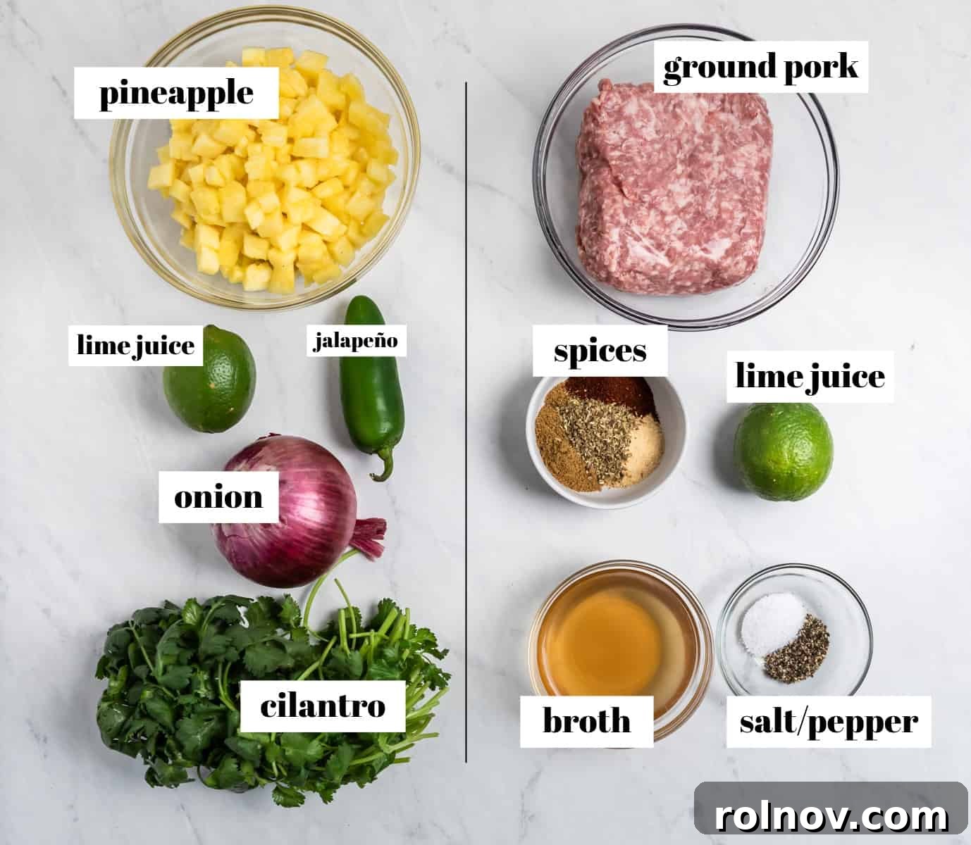 Zesty Pork Tacos with Fresh Pineapple Salsa 4 Labeled ingredients for pork tacos on white counter.