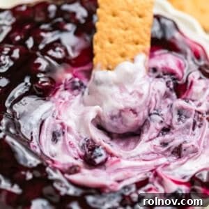 A crisp graham cracker dipped into a creamy 5-minute blueberry cheesecake dip, topped with fresh, juicy blueberries.