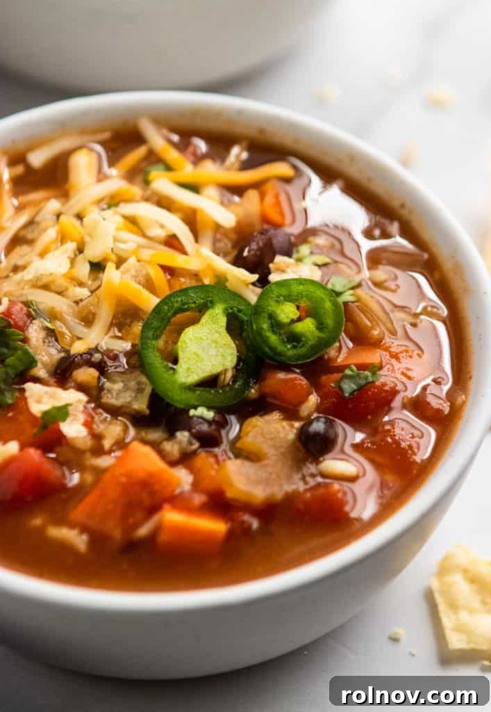 Hearty Black Bean and Rice Soup 5 A close-up shot of a single bowl of Black Bean and Rice Soup, showing its chunky texture and colorful ingredients, ready to be enjoyed.