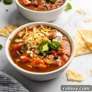 Delicious Black Bean and Rice Soup