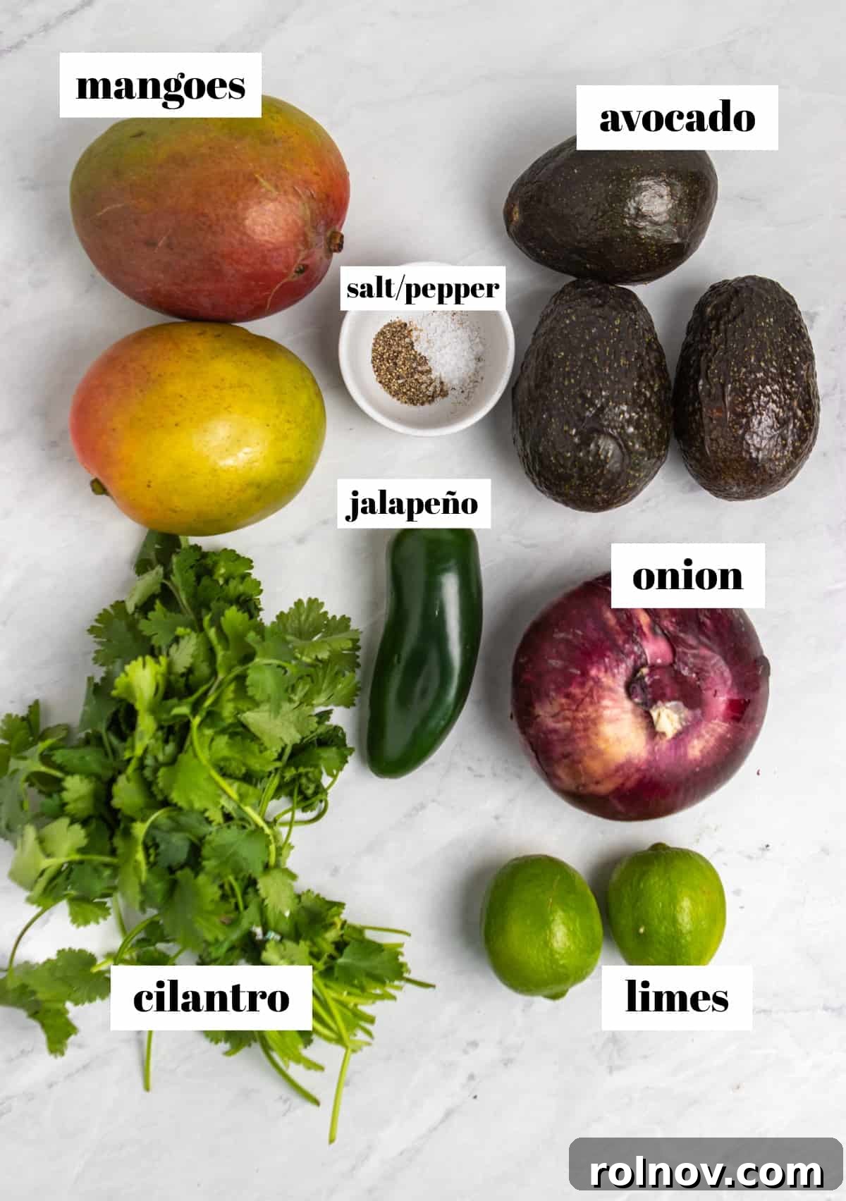 A selection of fresh ingredients including whole jalapeños, red onion, vibrant mangoes, and avocados, laid out on a kitchen counter, ready for preparation.