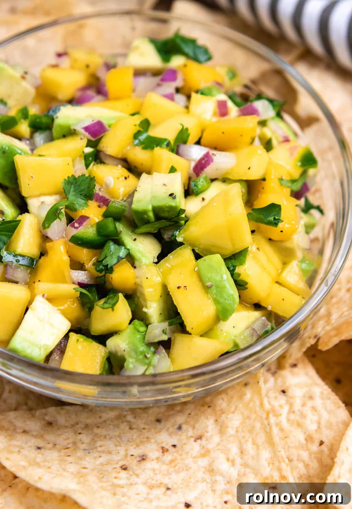 A close-up of a bowl of Mango Avocado Salsa, garnished with fresh cilantro, served with a side of crispy tortilla chips, ready for dipping.