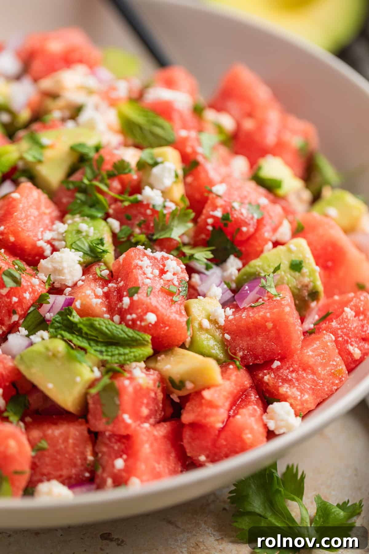 Watermelon Avocado Feta Harmony 2 A vibrant watermelon avocado feta salad in a bowl, garnished with fresh cilantro, ready to be served.