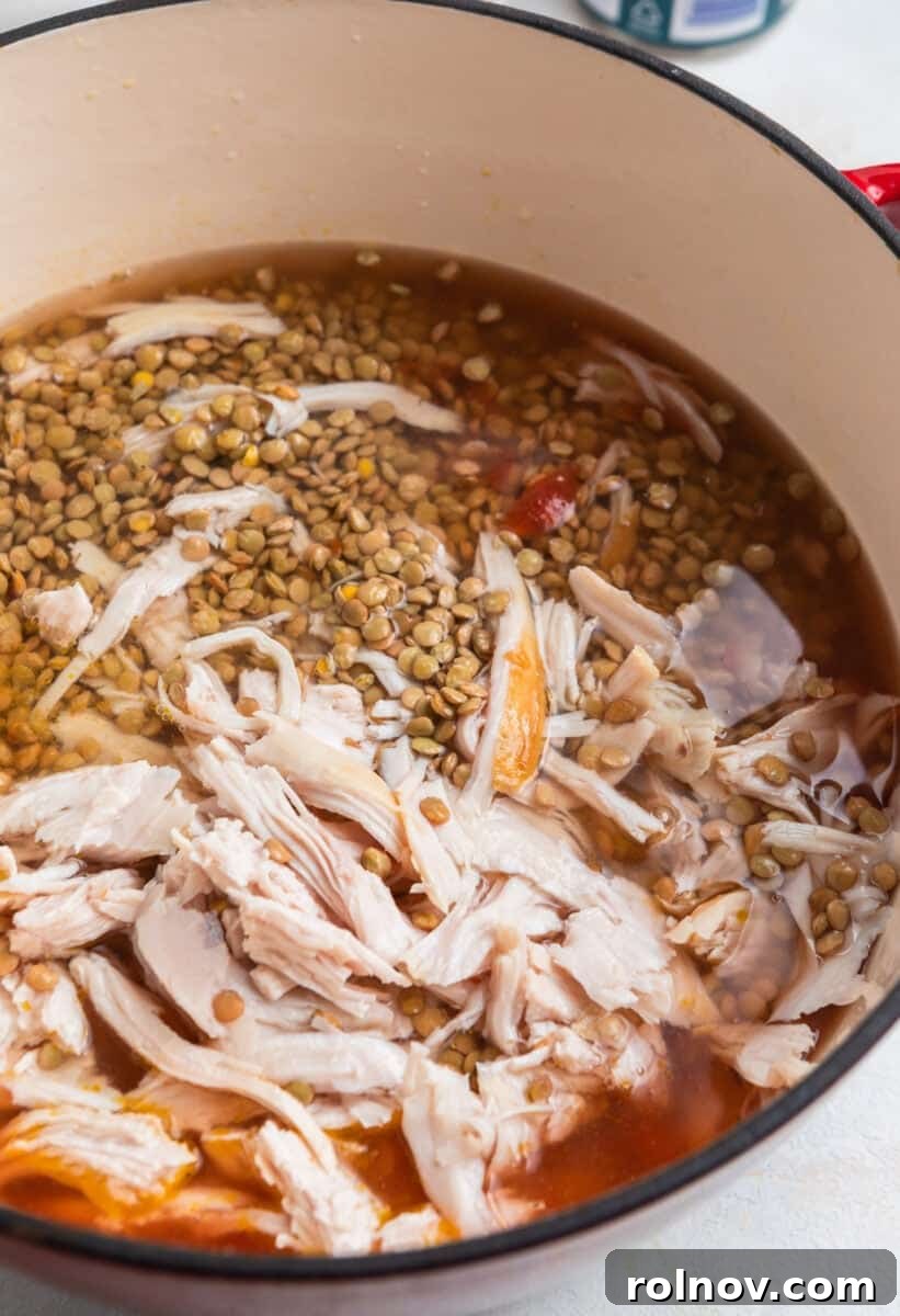 Turkey and lentils added to lentil soup pot.