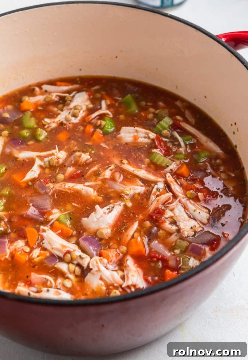 Turkey lentil soup in pot simmering.