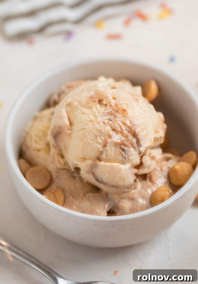 Cottage Cream Dream 8 Peanut butter fudge cottage cheese ice cream scooped in white dish with peanut butter chips.