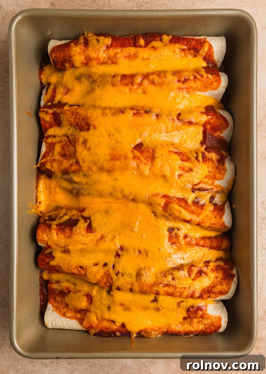 Enchiladas with melted cheese on top in pan.