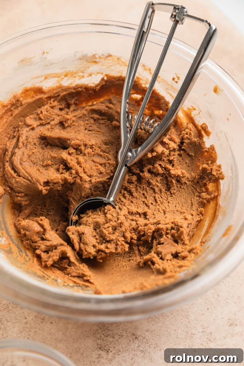 Ginger Cloud Cookies 9 Cookie scoop in chilled ginger cookie dough in bowl.
