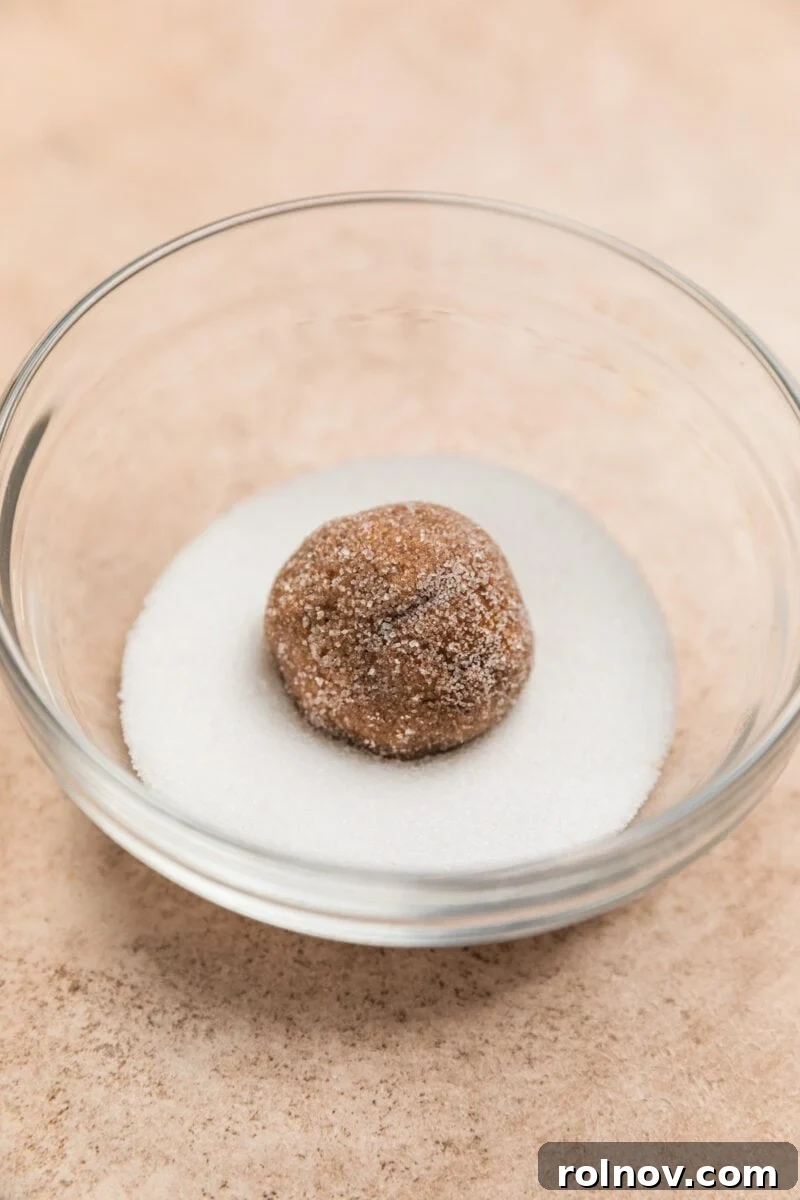 Ginger Cloud Cookies 10 Rolled cookie dough ball in bowl with sugar.