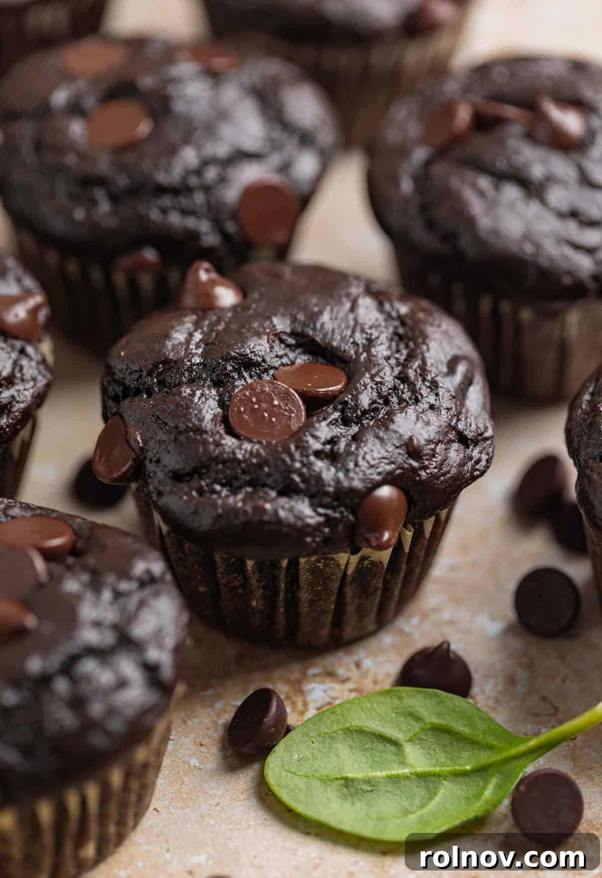 Emerald Chocolate Muffins 2 Chocolate chip spinach muffins with pieces of spinach beside them on counter.