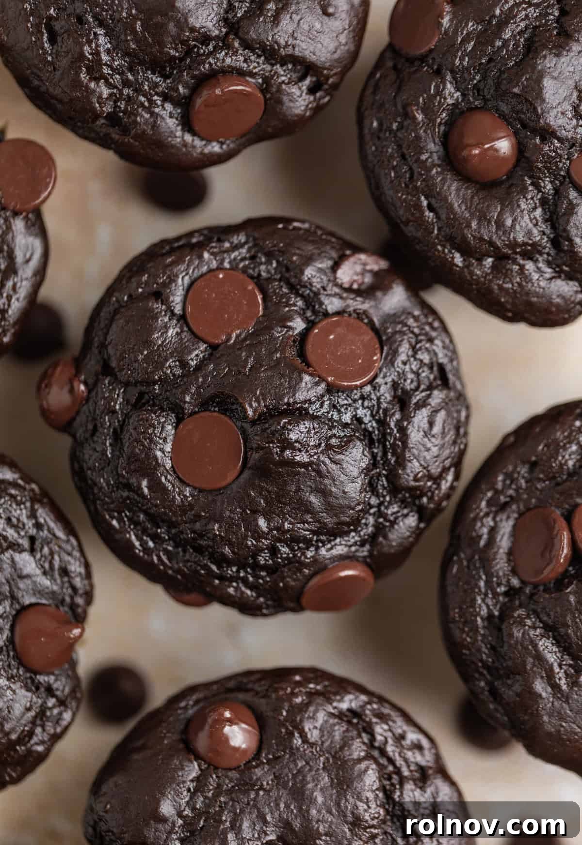 Emerald Chocolate Muffins 3 Overhead view of chocolate spinach muffins with chocolate chips on top on surface.