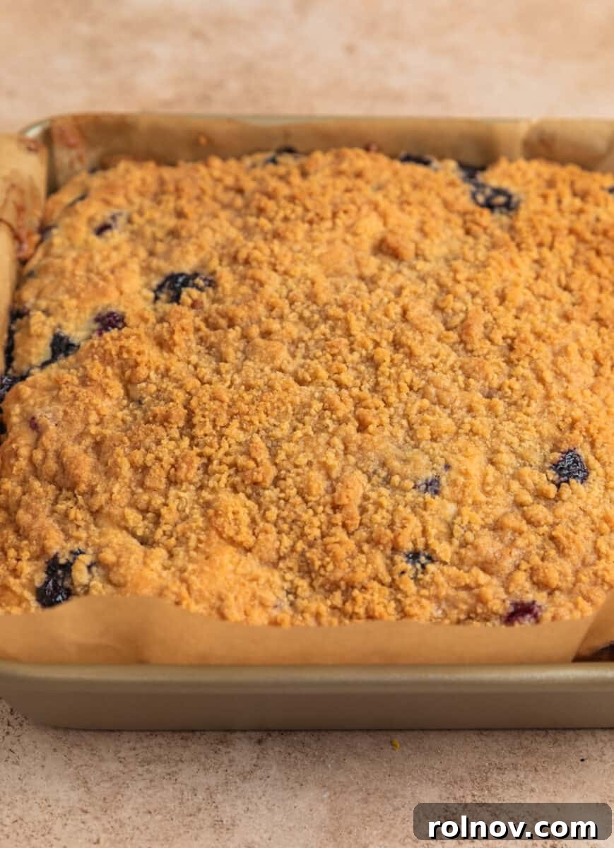 Bright and Zesty Blueberry Lemon Coffee Cake 16 Baked blueberry lemon coffee cake in pan.