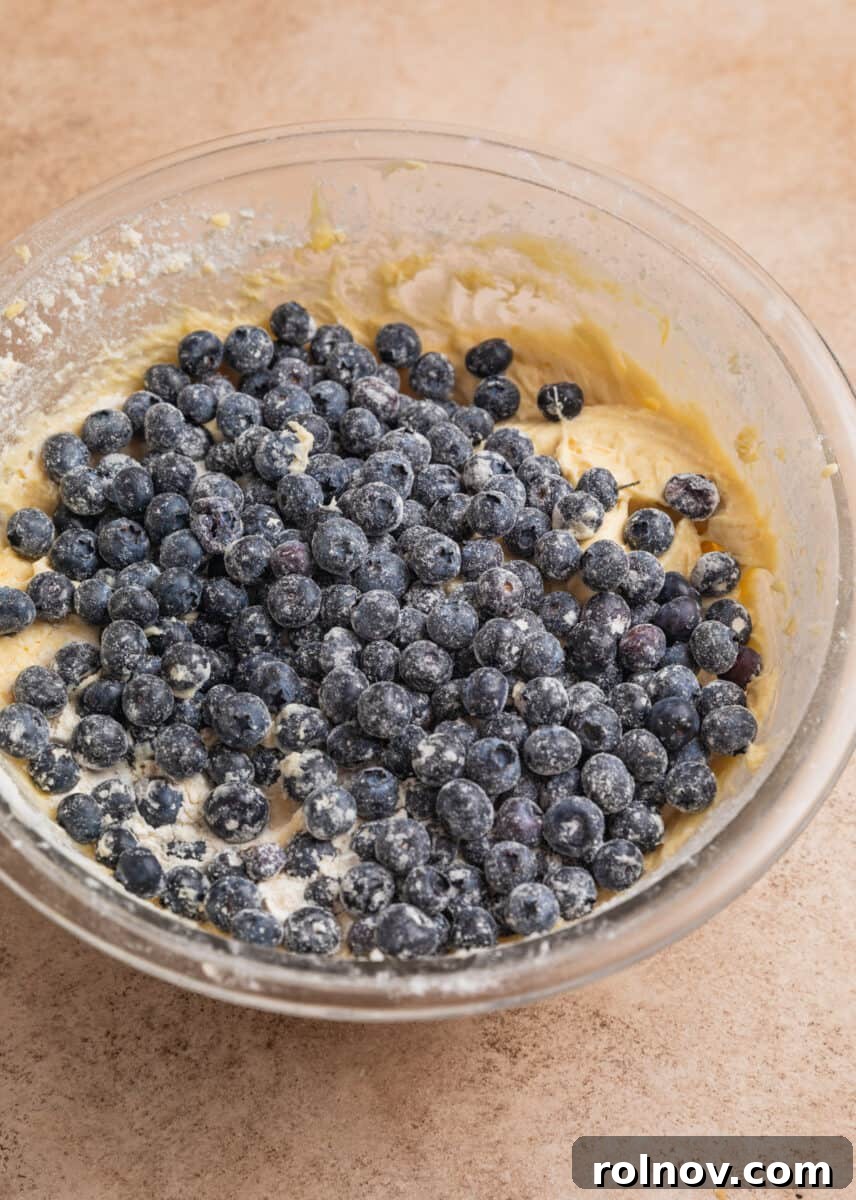 Bright and Zesty Blueberry Lemon Coffee Cake 10 Flour dusted blueberries added to mixing bowl with coffee cake batter.