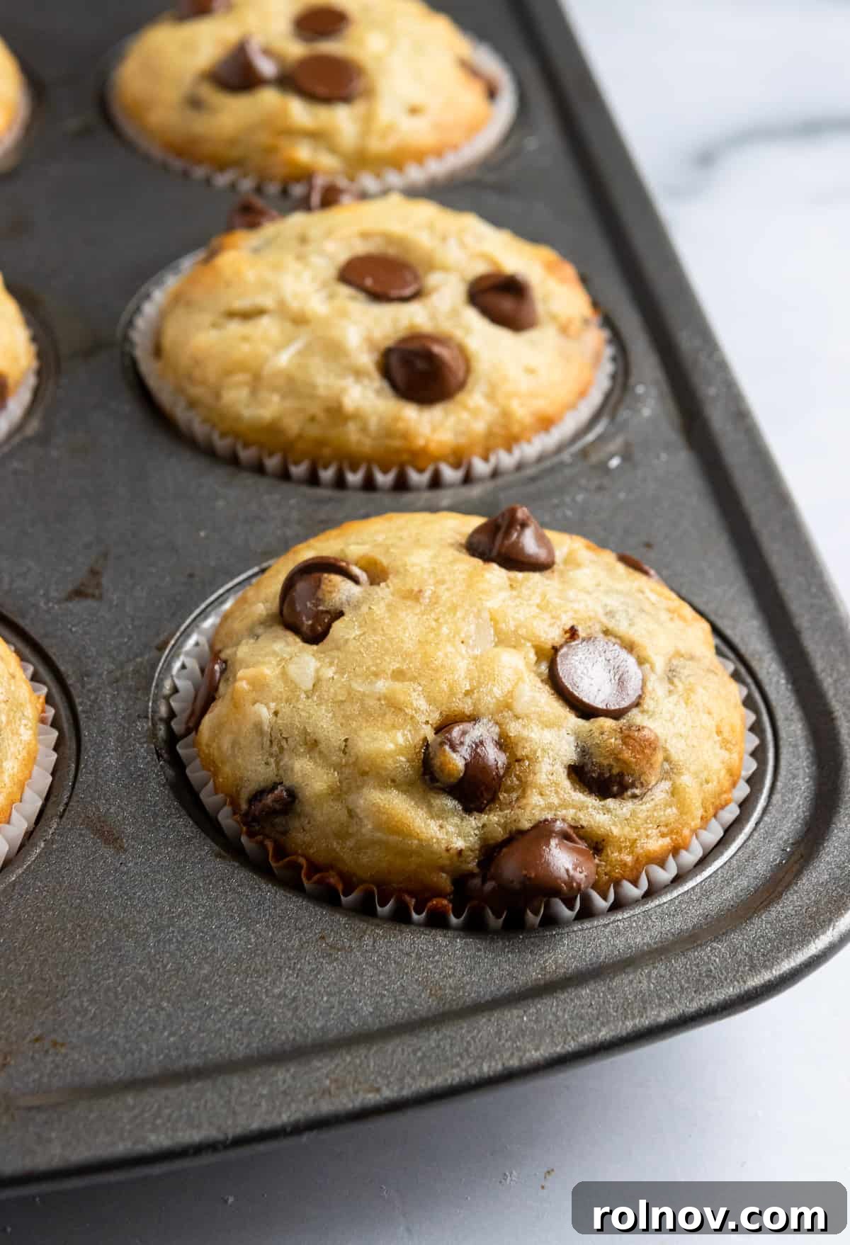 Tropical Banana Chocolate Chip Muffins 3 Freshly baked coconut banana muffins with chocolate chips cooling in a muffin tin.