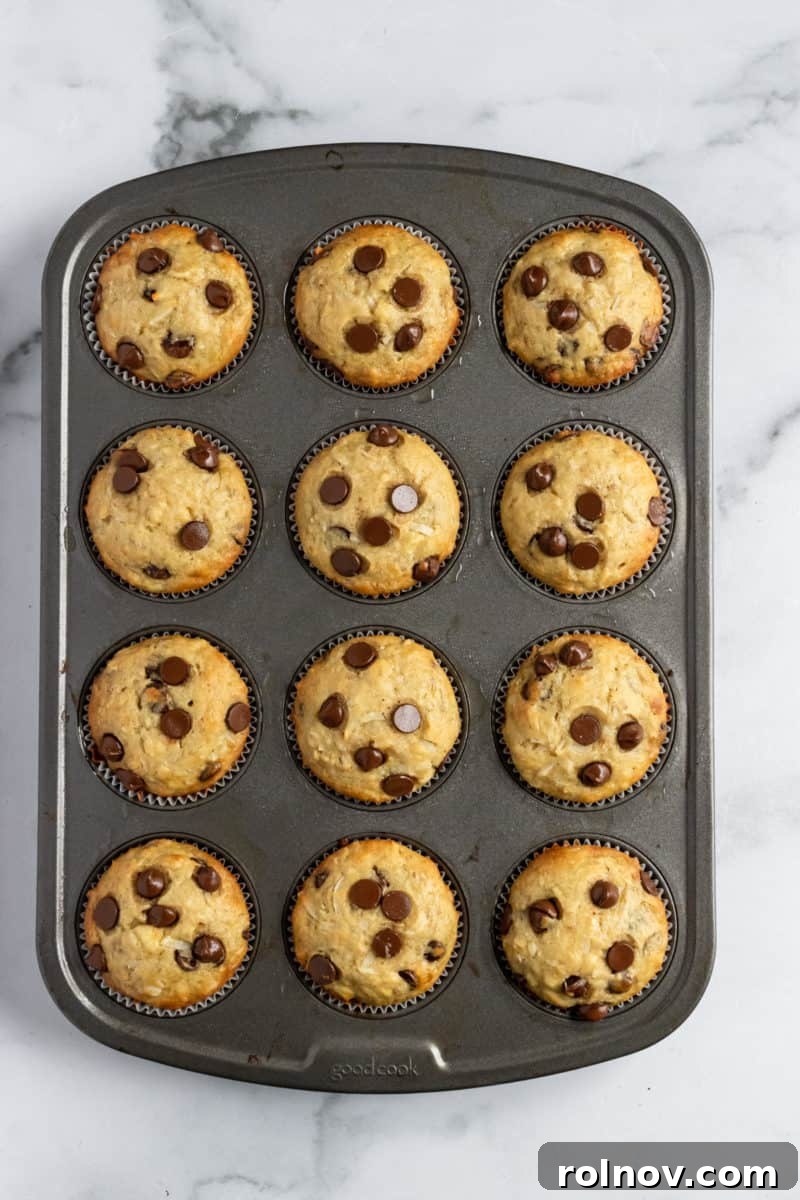Tropical Banana Chocolate Chip Muffins 9 Golden-brown coconut banana muffins with chocolate chips in a muffin tin after baking.
