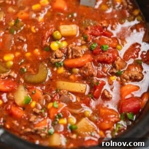 Hamburger soup in slow cooker with ladle scooping into it.