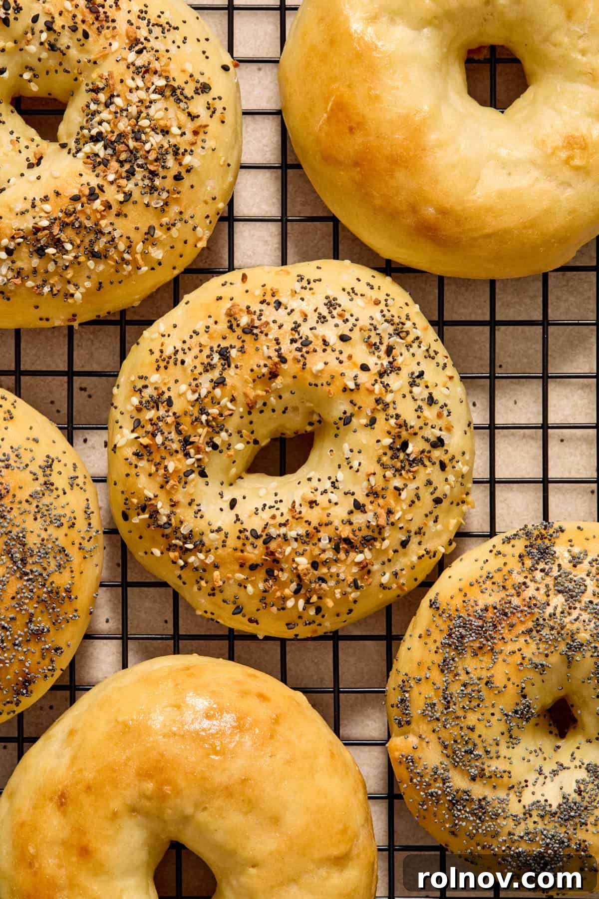 Homemade Greek Yogurt Bagels with Everything Seasoning Freshly baked Greek yogurt bagels cooling on a wire rack, topped with everything bagel seasoning, ready to be enjoyed.