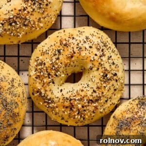 Greek Yogurt Everything Bagel A freshly baked everything bagel on a cooling rack, showcasing its golden crust and delicious toppings.