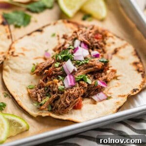 Shredded beef taco topped with cilantro and red onion.
