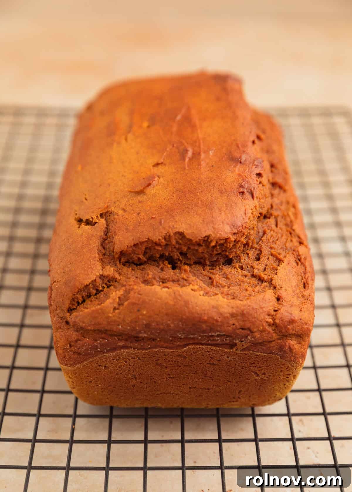 Effortless Cake Mix Pumpkin Bread 11 A freshly baked, golden-brown pumpkin bread loaf cooling on a wire rack.