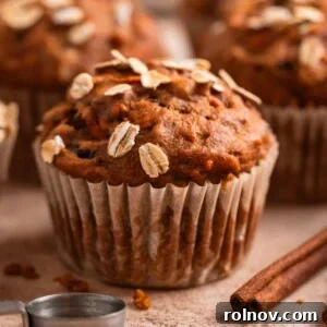 Pumpkin muffins with carrots topped with rolled oats on counter with cinnamon sticks and measuring spoons beside them.