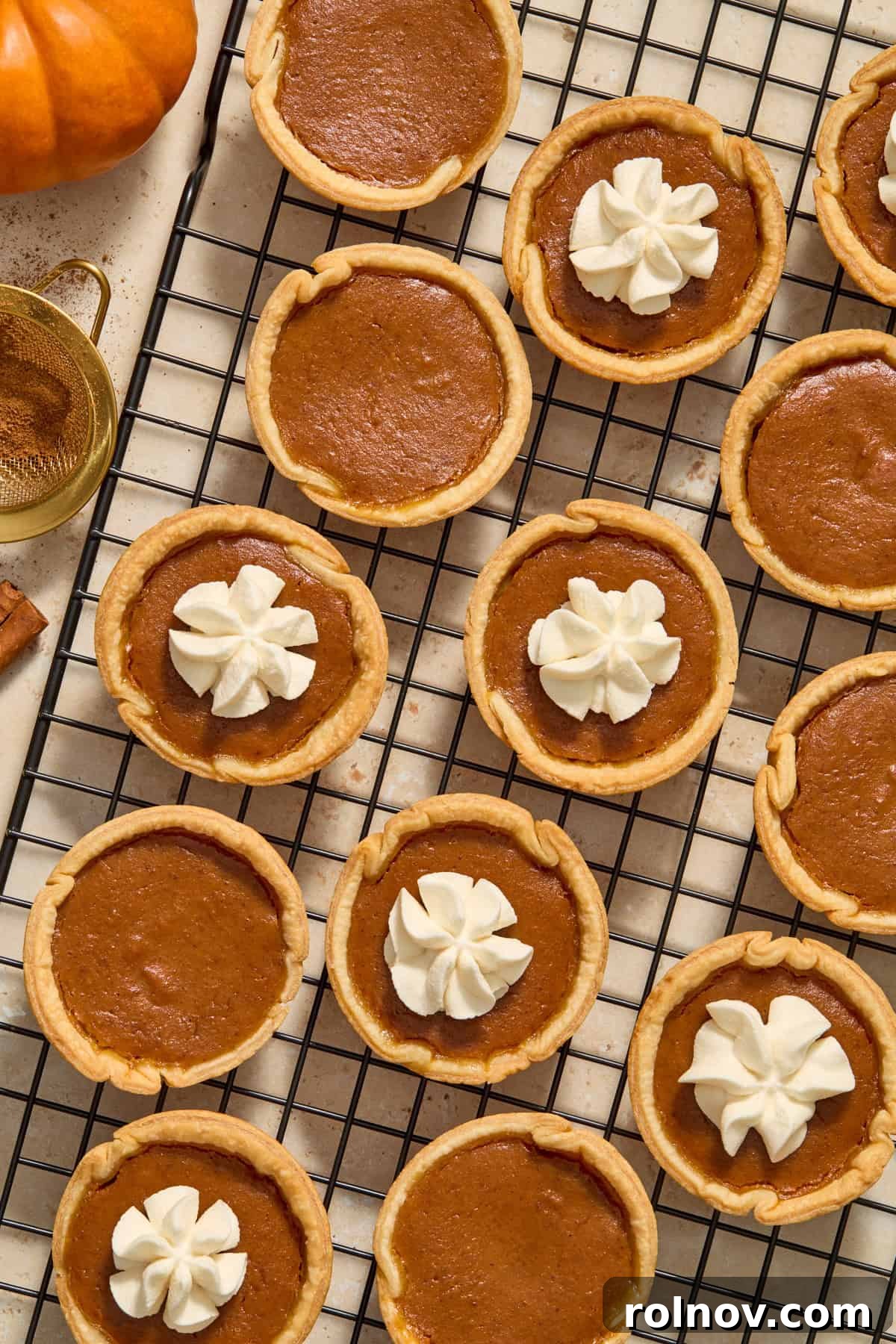 Bite-Sized Pumpkin Delights 12 Miniature pumpkin pies arranged on a wire rack, some adorned with piped whipped cream and others awaiting their topping.