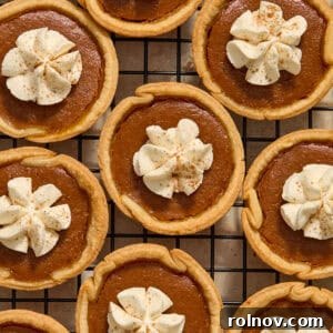 Mini pumpkin pies on cooling rack with whipped cream piped on top, ready to be served.